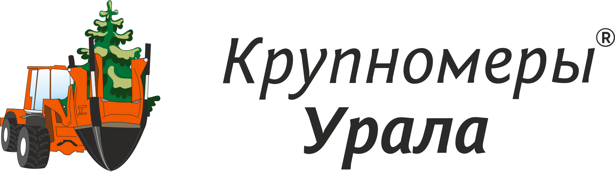 Саженцы хвойных деревьев крупномеров✔️ купить в Оренбурге, цена - питомник  «Крупномеры Урала»